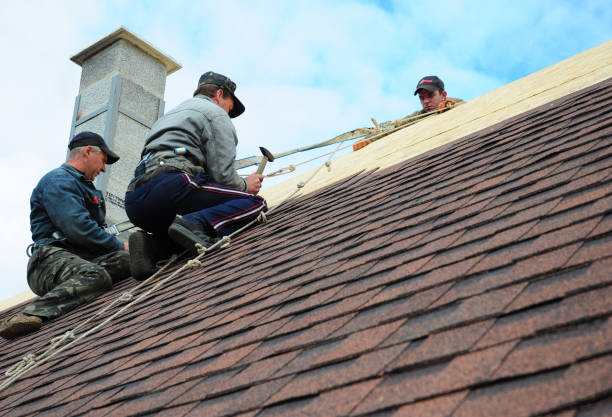 Best Roof Repair Services  in Jamestown, NC